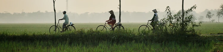 Indonesian
